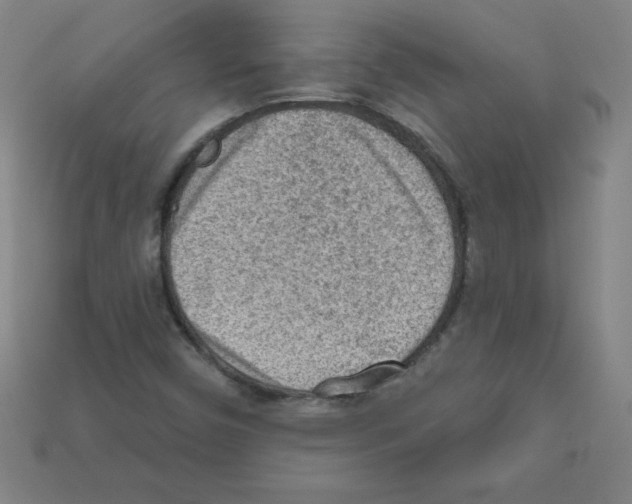 X0000111941450200909071249