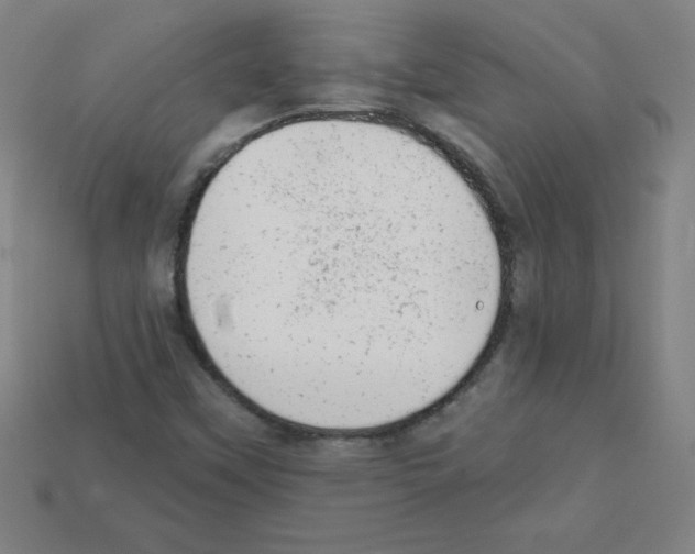 X0000111941451200909071249