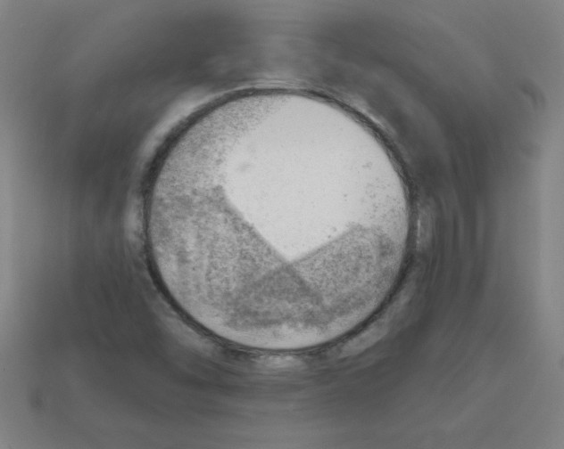 X0000111941454200909071249