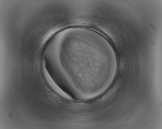 X0000111941455200909071249