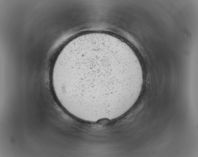 X0000111941456200909071249