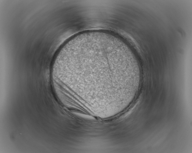X0000111941457200909071249