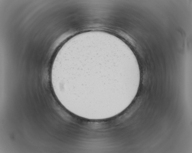 X0000111941458200909071249