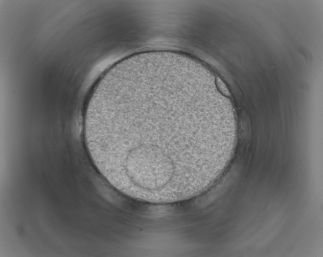 X0000111941461200909071249