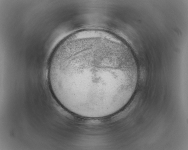 X0000111941462200909071249