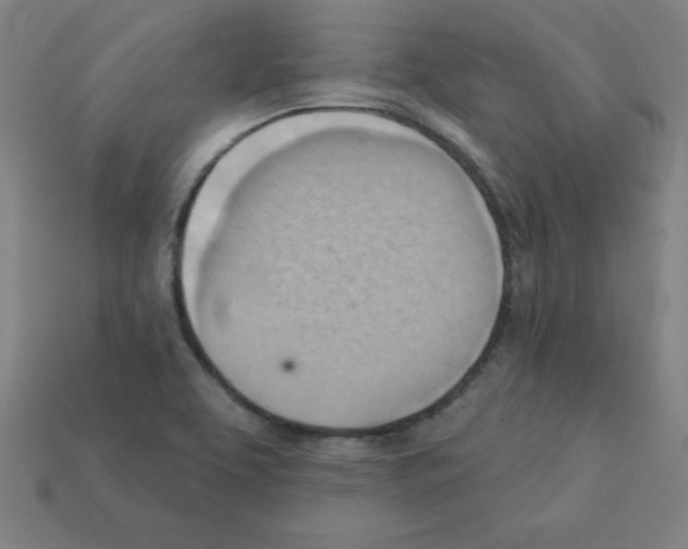 X0000111941463200909071249