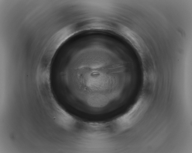X0000111941465200909071249