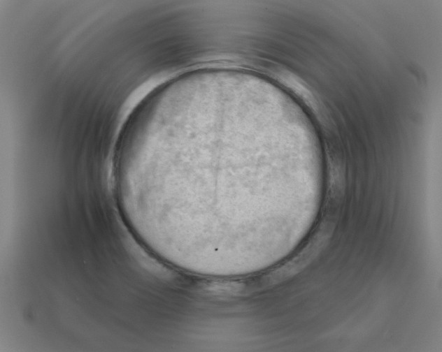 X0000111941466200909071249