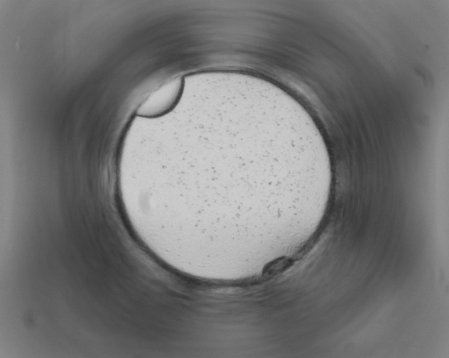 X0000111941467200909071249
