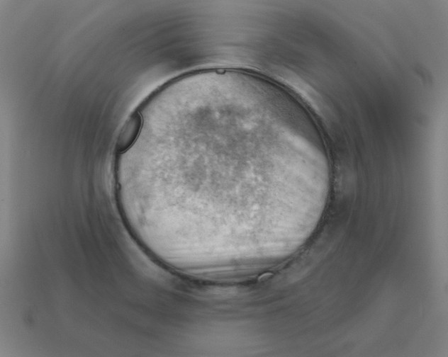 X0000111941468200909071249