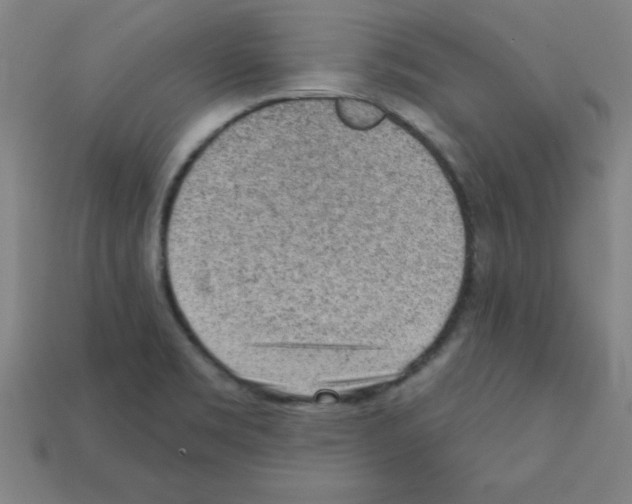 X0000111941469200909071249