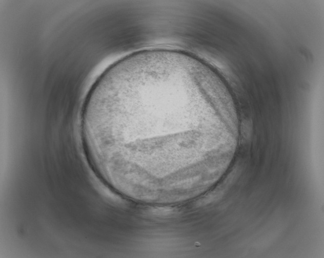 X0000111941470200909071249