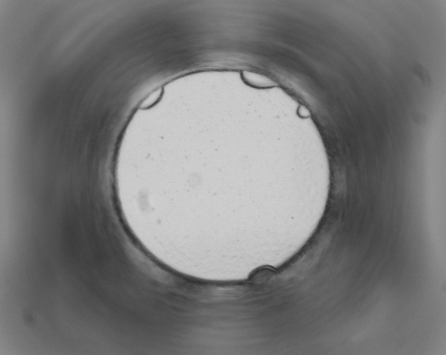 X0000111941471200909071249