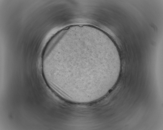 X0000111941472200909071249