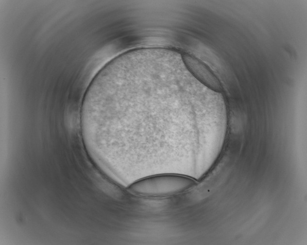 X0000111941473200909071249