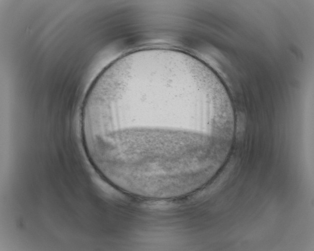 X0000111941474200909071249