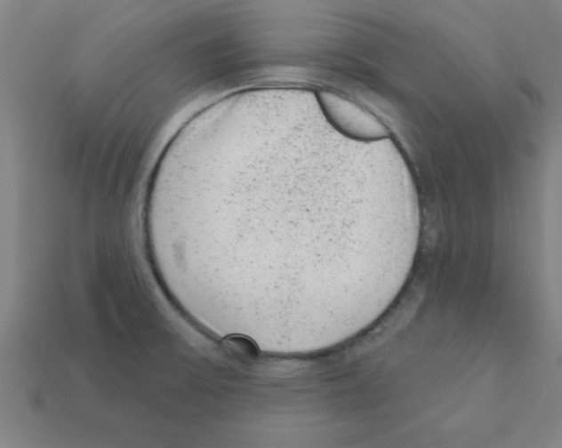 X0000111941475200909071249