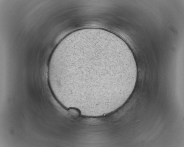 X0000111941476200909071249