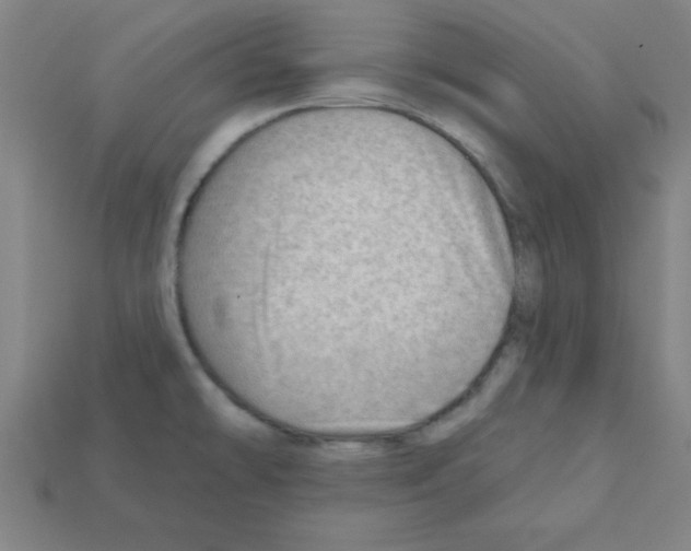 X0000111941478200909071249