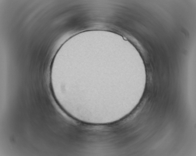 X0000111941479200909071249