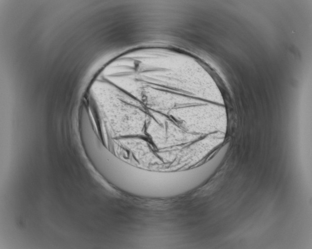 X0000111941480200909071249