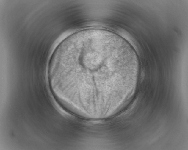 X0000111941482200909071249