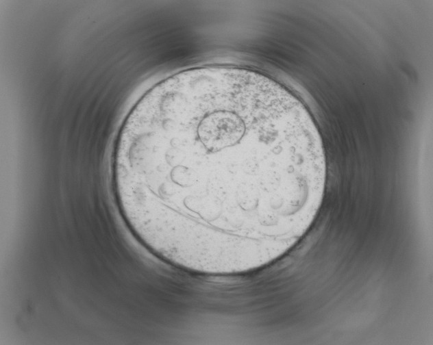 X0000111941483200909071249