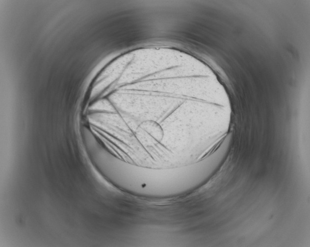 X0000111941484200909071249
