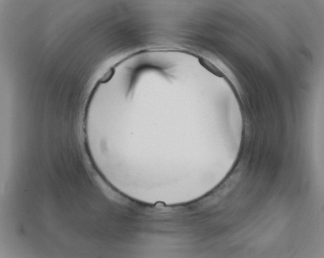 X0000111941485200909071249