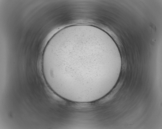 X0000111941486200909071249