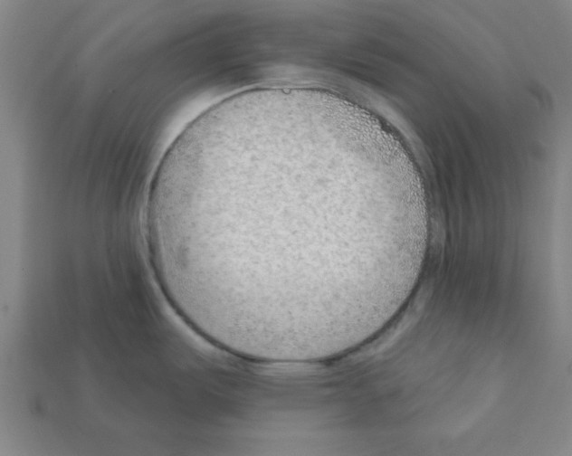 X0000111941487200909071249