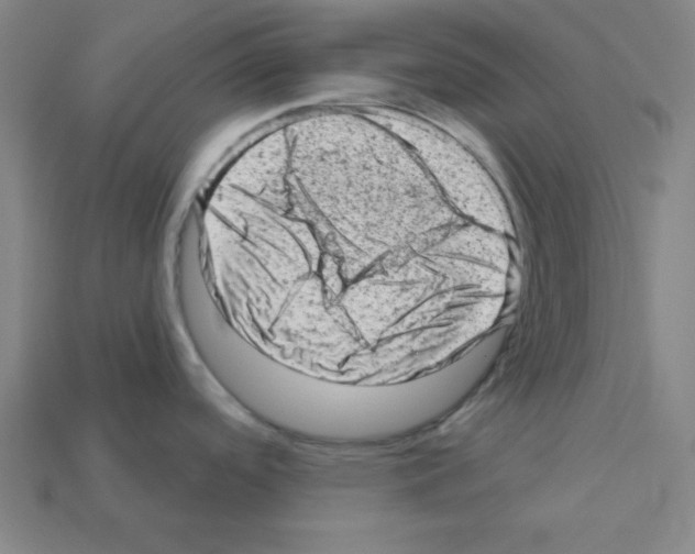 X0000111941488200909071249