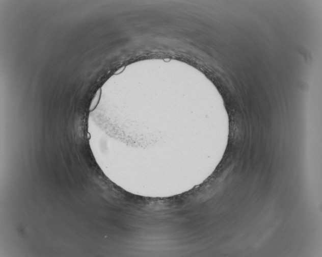 X0000111941490200909071248