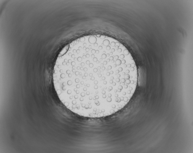 X0000111941491200909071248