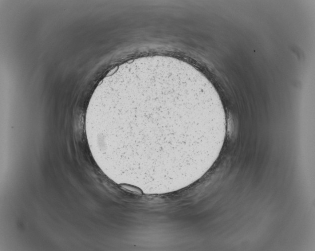 X0000111941492200909071248