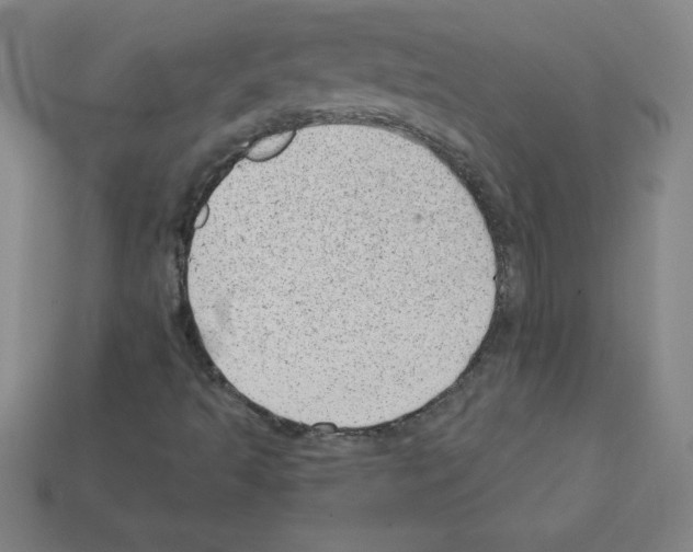 X0000111941493200909071248