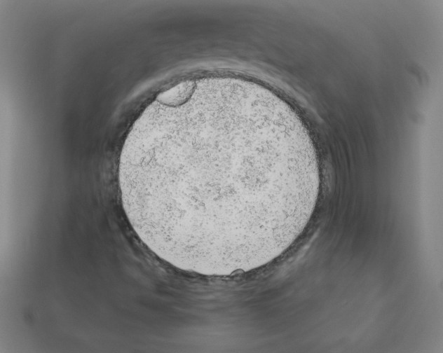 X0000111941494200909071248