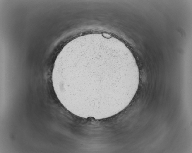 X0000111941495200909071248