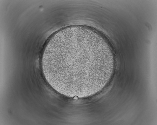X0000111941497200909071248