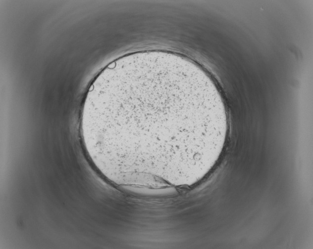 X0000111941500200909071248