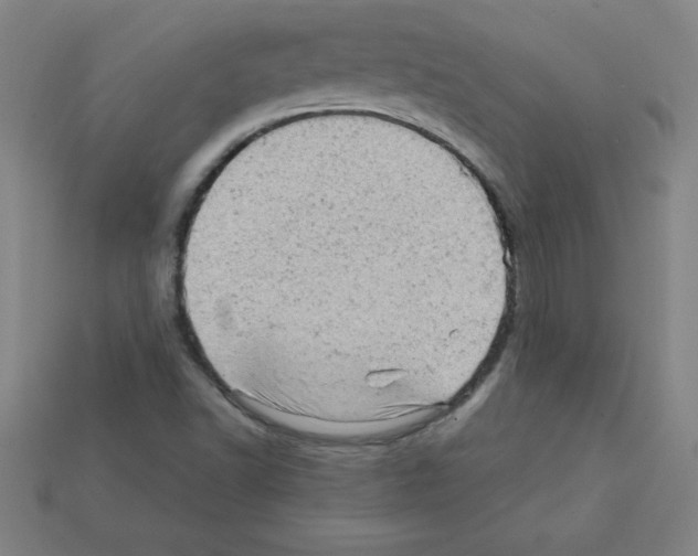 X0000111941502200909071248
