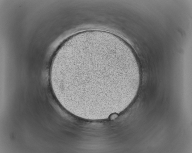 X0000111941503200909071248
