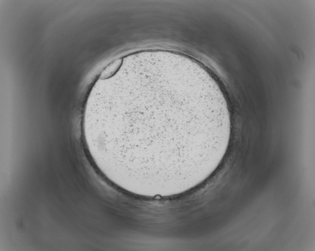 X0000111941504200909071248