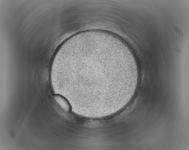 X0000111941505200909071248