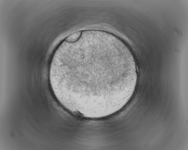 X0000111941506200909071248