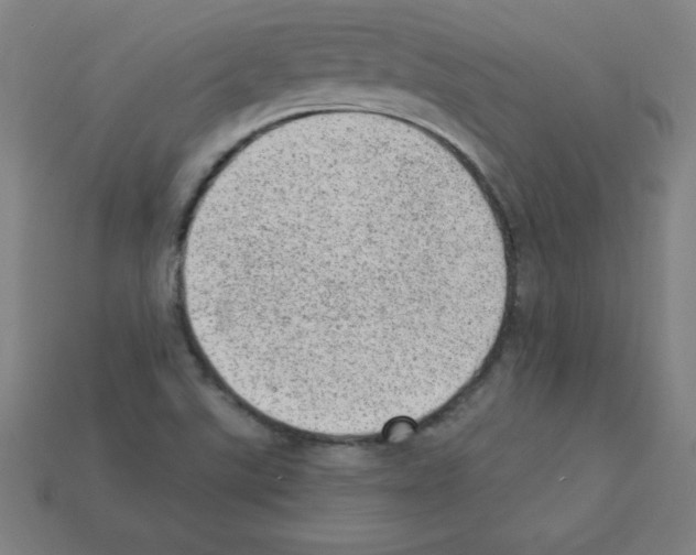 X0000111941507200909071248