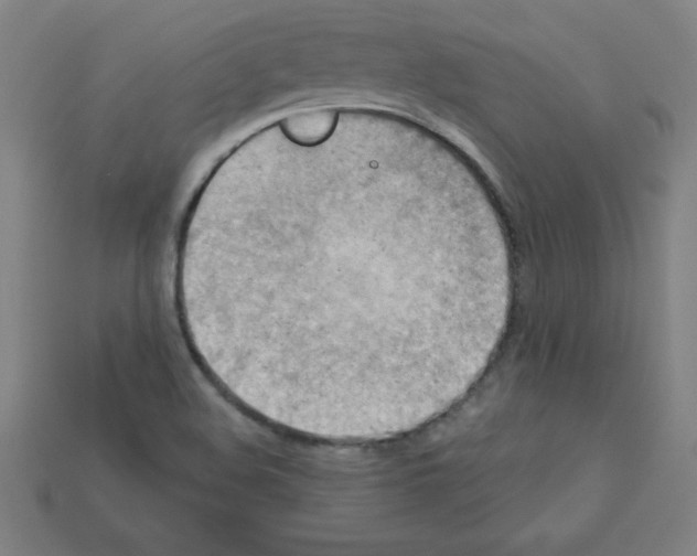 X0000111941508200909071249