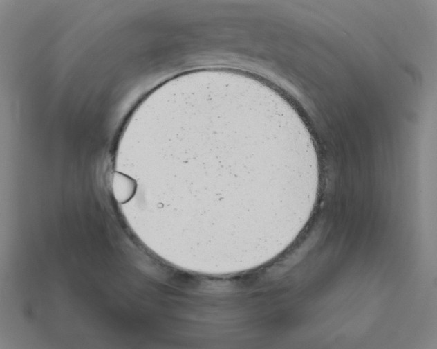 X0000111941509200909071249