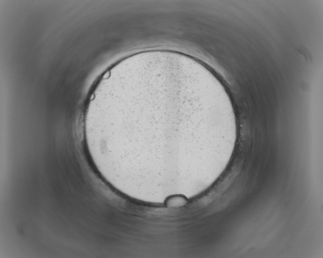 X0000111941510200909071249