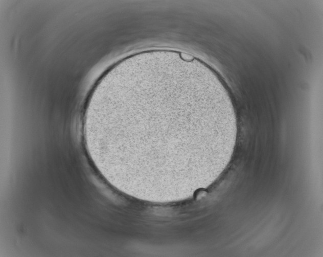 X0000111941511200909071249